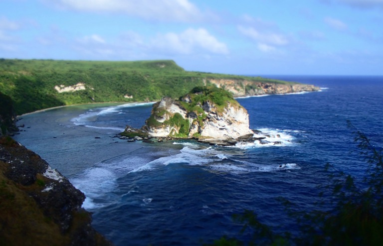 Bird Island from B. Baechler